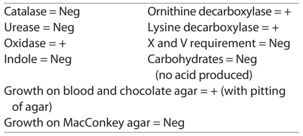 Figure 7-4_11.jpg